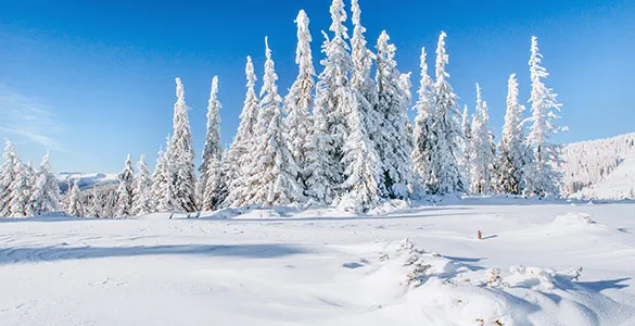 family-friendly-winter-destinations-in-the-usa-mid-content-3